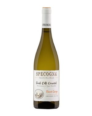 Specogna Pinot Grigio 2023